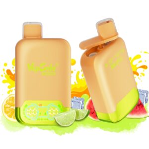 vapsolo twins lemon lime & watermelon ice geschmack